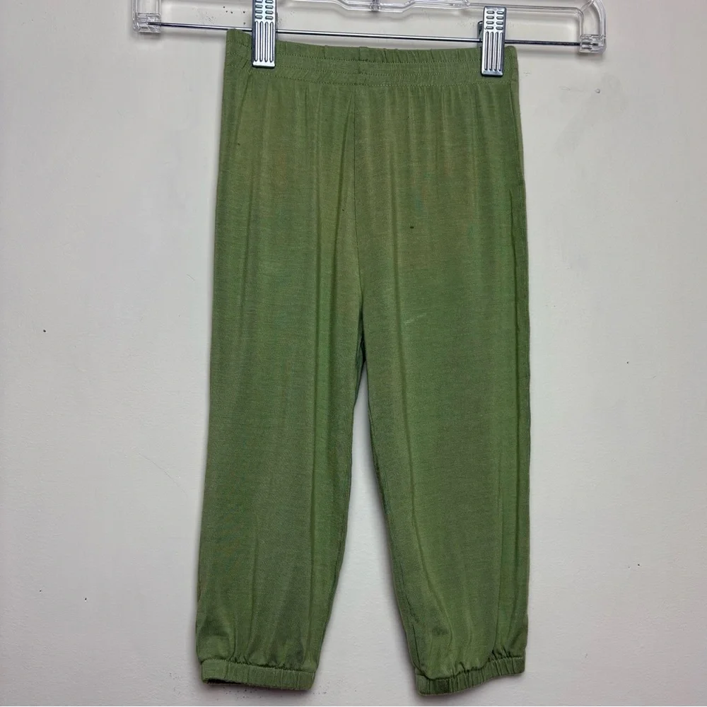 Kate Quinn 18-24 Months Floral Green Shirt and Pants set **READ**‎
